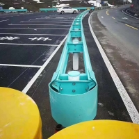 {title}